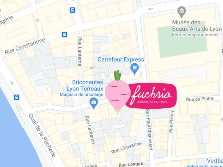 trouver fuchsia localisation restaurant lyon healthy map